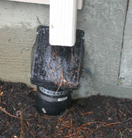 gutter drain screens